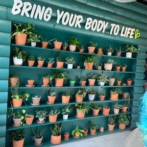 Meet your Posher, Cameron